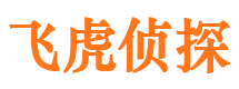 临桂市私家侦探